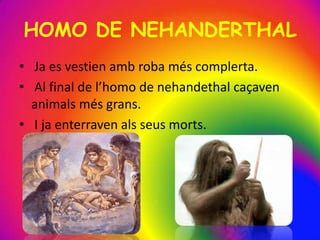 HOMO DE NEHANDERTHAL
• Ja es vestien amb roba més complerta.
• Al final de l’homo de nehandethal caçaven
animals més grans.
• I ja enterraven als seus morts.
 