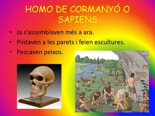 HOMO DE CORMANYÓ O
SAPIENS
• Ja s’assemblaven més a ara.
• Pintaven a les parets i feien escultures.
• Pescaven peixos.
 
