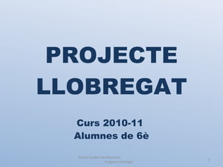 PROJECTE LLOBREGAT Curs 2010-11  Alumnes de 6è Escola Guillem de Balsareny  Projecte Llobregat 