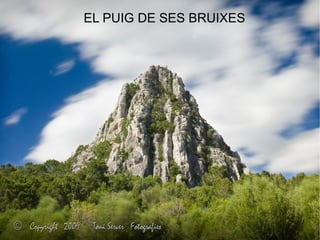 EL PUIG DE SES BRUIXES
 