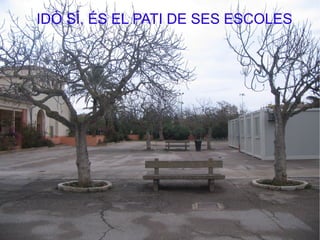 IDÒ SÍ, ÉS EL PATI DE SES ESCOLES
 