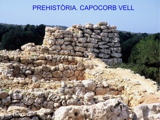 PREHISTÒRIA. CAPOCORB VELL
 