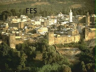 FES