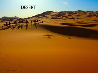 DESERT