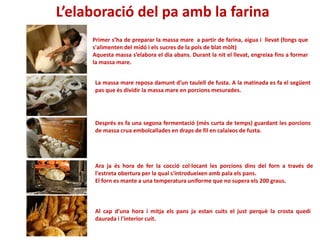 L’elaboració del pa amb la farina
Primer s’ha de preparar la massa mare a partir de farina, aigua i llevat (fongs que
s'alimenten del midó i els sucres de la pols de blat mòlt)
Aquesta massa s’elabora el dia abans. Durant la nit el llevat, engreixa fins a formar
la massa mare.
La massa mare reposa damunt d’un taulell de fusta. A la matinada es fa el següent
pas que és dividir la massa mare en porcions mesurades.
Després es fa una segona fermentació (més curta de temps) guardant les porcions
de massa crua embolcallades en draps de fil en calaixos de fusta.
Ara ja és hora de fer la cocció col·locant les porcions dins del forn a través de
l'estreta obertura per la qual s'introdueixen amb pala els pans.
El forn es mante a una temperatura uniforme que no supera els 200 graus.
Al cap d’una hora i mitja els pans ja estan cuits el just perquè la crosta quedi
daurada i l'interior cuit.
 
