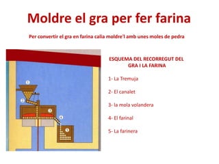 Moldre el gra per fer farina
Per convertir el gra en farina calia moldre'l amb unes moles de pedra
ESQUEMA DEL RECORREGUT DEL
GRA I LA FARINA
1- La Tremuja
2- El canalet
3- la mola volandera
4- El farinal
5- La farinera
 