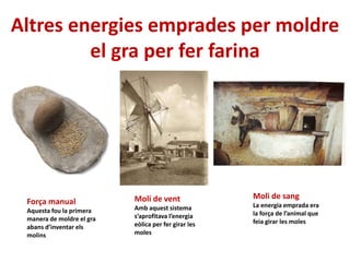 Altres energies emprades per moldre
el gra per fer farina
Força manual
Aquesta fou la primera
manera de moldre el gra
abans d’inventar els
molins
Moli de sang
La energia emprada era
la força de l’animal que
feia girar les moles
Molí de vent
Amb aquest sistema
s’aprofitava l’energia
eòlica per fer girar les
moles
 
