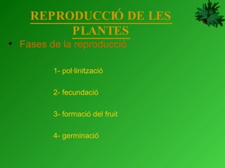 REPRODUCCIÓ DE LES PLANTES Fases de la reproducció 1- pol·linització 2- fecundació 3- formació del fruit 4- germinació 