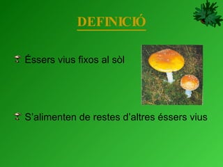 DEFINICIÓ Éssers vius fixos al sòl S’alimenten de restes d’altres éssers vius 