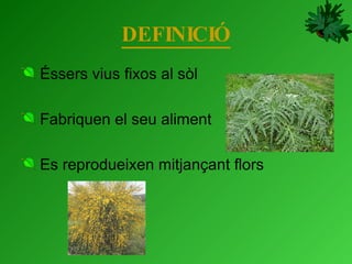 DEFINICIÓ Éssers vius fixos al sòl  Fabriquen el seu aliment  Es reprodueixen mitjançant flors 