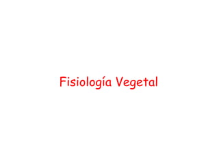 Fisiología Vegetal 