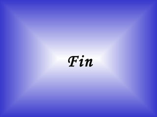 Fin 