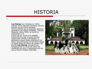 HISTORIA   Las Marías  fue fundada en 1924, cuando Víctor Navajas Centeno decidió plantar los primeros yerbales reconvirtiendo así la pequeña estancia ganadera que había heredado. Tiempo después, hacia 1950, se sumó la producción y el  cultivo de té. Junto a la notable trascendencia que al poco tiempo adquirieron dichas actividades, la ganadería siguió desarrollándose con éxito. Aprovechando los terrenos bajos no aptos para el cultivo de yerba y té, pronto  Las Marías  incorporó las forestaciones a través de miles de hectáreas de pino y eucaliptos con los que produce madera aserrada. 