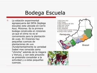 Bodega Escuela La estación experimental agropecuaria del INTA (bodega escuela) esta ubicada en Cerro Azul, Misiones. Es la primera bodega construida en misiones ya que el clima no es el conveniente para la plantación de uvas. En misiones hay pequeñas cuencas de plantaciones de uva (fundamentalmente la variedad Isabel mas conocida como “chinche” además de la níagara y Venus), y con este proyecto se pretendio consolidar a la actividad y a estas pequeñas cuencas. 