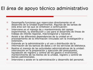 El área de apoyo técnico   administrativo Desempeña funciones que repercuten directamente en el desarrollo de la Unidad Experimental. Algunas de las tareas de esta área son las que se sintetizan a continuación: Interviene en el manejo de y mantenimiento del campo experimental, su distribución y uso para el desarrollo de líneas de trabajo de interés regional, macroregional y nacional.  Asiste a las diferentes dependencias de la unidad en el procesamiento de la información vinculada con la investigación y extensión.  Entiende en la administración y el uso y distribución de la información de los bancos de datos y en los servicios de biblioteca.  Realiza el manejo de las actividades administrativas de la unidad: intervención en la preparación y ejecución del presupuesto, liquidación de registro y control de los gastos e inversiones, mantenimiento de los bienes de la unidad, registro y control de bienes patrimoniales.  Interviene y asiste en la administración y desarrollo del personal. 