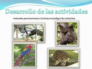 Descripción Como  parte del proyecto “La Gran Casa Verde”, los estudiantes realizan indagaciones para re-descubrir la biodiversidad en el Istmo, su región y comunidad escolar; adoptando distintas especies de flora y fauna y transformándolas en un objeto de aprendizaje; identifican las distintas actividades –personales, familiares y productivas- que amenazan, vulneran y ponen en riesgo la biodiversidad a nivel local, regional y nacional