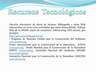 Desarrollo de las actividadesLos dicentes reforestando los predios escolares con el apoyo de sus docentes.