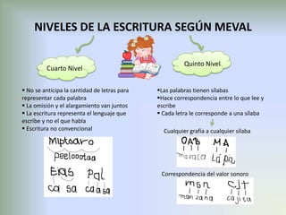 NIVELES DE LA ESCRITURA SEGÚN MEVAL

                                                        Quinto Nivel
         Cuarto Nivel


 No se anticipa la cantidad de letras para   Las palabras tienen sílabas
representar cada palabra                      Hace correspondencia entre lo que lee y
 La omisión y el alargamiento van juntos     escribe
 La escritura representa el lenguaje que      Cada letra le corresponde a una sílaba
escribe y no el que habla
 Escritura no convencional                     Cualquier grafía a cualquier sílaba




                                               Correspondencia del valor sonoro
 