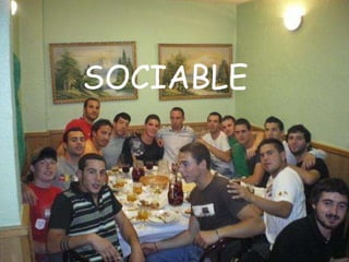 SOCIABLE 