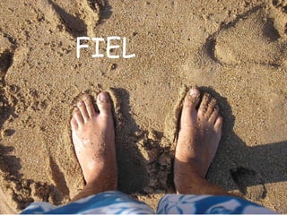 FIEL 