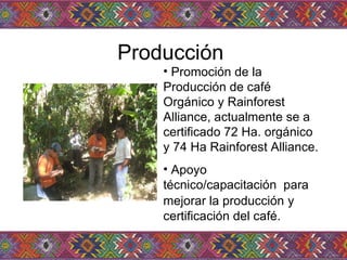 Producción  Promoción de la Producción de café Orgánico y Rainforest Alliance, actualmente se a certificado 72 Ha. orgánico  y 74 Ha Rainforest Alliance.  Apoyo técnico/capacitación  para mejorar la producción   y certificación del café.  