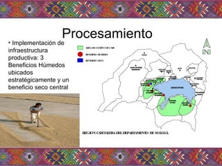 Procesamiento  Implementación de infraestructura productiva: 3 Beneficios Húmedos ubicados estratégicamente y un beneficio seco central  