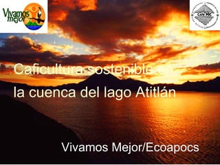 Caficultura sostenible en la cuenca del lago Atitlán   Vivamos Mejor/Ecoapocs     