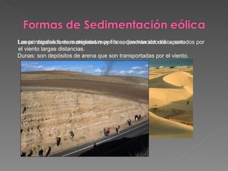 Las principales formas originadas por la sedimentación eólica son: Dunas: son depósitos de arena que son transportadas por el viento. Loess: depósitos de materiales muy finos, que han sido transportados por el viento largas distancias. 