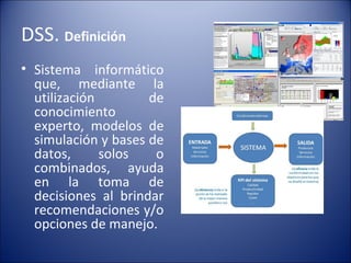 DSS.  Definición   Sistema informático que, mediante la utilización de conocimiento experto, modelos de simulación y bases de datos, solos o combinados, ayuda en la toma de decisiones al brindar recomendaciones y/o opciones de manejo. 