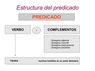 Estructura del predicado PREDICADO VERBO + COMPLEMENTOS - Sintagma adjetival - Sintagma nominal - Sintagma preposicional - Sintagma adverbial TIENEN  muchos bolsillos en su parte delantera 