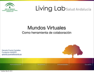 Mundos Virtuales
                              Como herramienta de colaboración




  Gerardo Puerta Cardelles
  Fundación IAVANTE
  gerardo.puerta@iavante.es




Tuesday, May 25, 2010
 