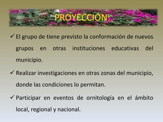 PROYECCIÓN: El grupo de tiene previsto la conformación de nuevos grupos en otras instituciones educativas del municipio. Realizar investigaciones en otras zonas del municipio, donde las condiciones lo permitan. Participar en eventos de ornitología en el ámbito local, regional y nacional.  