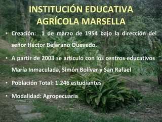 INSTITUCIÓN EDUCATIVA AGRÍCOLA MARSELLA Creación:  1 de marzo de 1954 bajo la dirección del señor Héctor Bejarano Quevedo. A partir de 2003 se articuló con los centros educativos  María Inmaculada, Simón Bolívar y San Rafael Población Total: 1.246 estudiantes Modalidad: Agropecuaria 