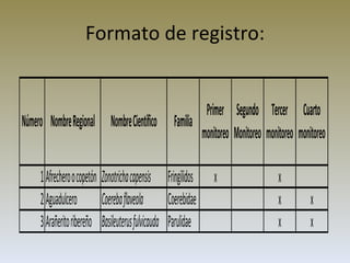 Formato de registro: 