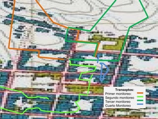Transeptos: Primer monitoreo:   Segundo monitoreo Tercer monitoreo Cuarto Monitoreo 