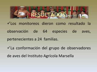 RESULTADOS   Los monitoreos dieron como resultado la observación de 64 especies de aves, pertenecientes a 24  familias. La conformación del grupo de observadores de aves del Instituto Agrícola Marsella 