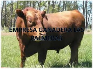 EMPRESA GANADERA LAS PALMERAS 