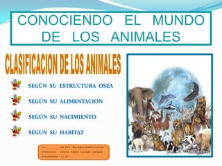 CONOCIENDO   EL   MUNDO  DE   LOS   ANIMALESCLASIFICACION DE LOS ANIMALESSEGÚN  SU  ESTRUCTURA  OSEASEGÚN  SU  ALIMENTACIONSEGÚN  SU  NACIMIENTOSEGUN  SU  HABITAT