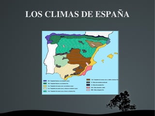   
LOS CLIMAS DE ESPAÑA
 