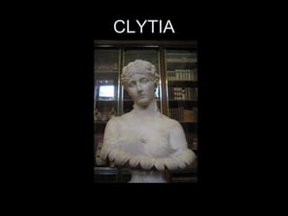 CLYTIA 