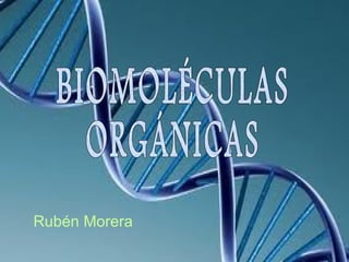 Rubén Morera BIOMOLÉCULAS ORGÁNICAS 
