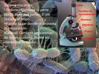 Objetivo: Lente situada cerca de la preparación. Amplia la imagen de esta.