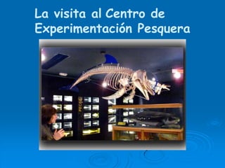 La visita alCentro de Experimentación Pesquera