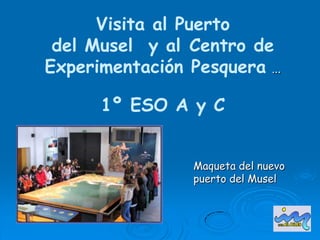 Visita al Puerto del Musel  y alCentro de Experimentación Pesquera… 1º ESO A y C Maqueta del nuevo puerto del Musel 