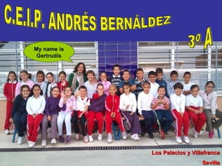 C.E.I.P. ANDRÉS BERNÁLDEZ 3º A Los Palacios y Villafranca Sevilla My name is Gertrudis 