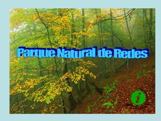 Parque Natural de Redes 