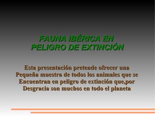 FAUNA IBÉRICA EN  PELIGRO DE EXTINCIÓN Esta presentación pretende ofrecer una Pequeña muestra de todos los animales que se Encuentran en peligro de extinción que,por Desgracia son muchos en todo el planeta 