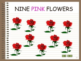 NINE  PINK  FLOWERS 