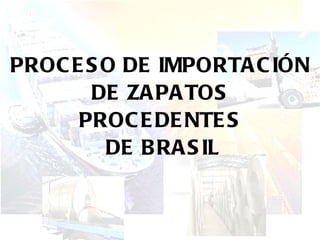 PROCESO DE IMPORTACIÓN DE ZAPATOS PROCEDENTES  DE BRASIL 