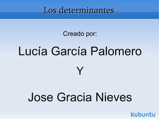 Los determinantes Creado por: Lucía García Palomero Y Jose Gracia Nieves 